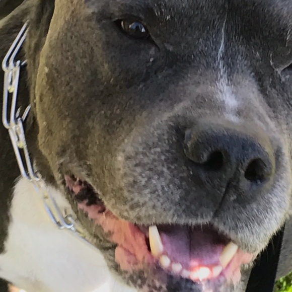 Meet your Posher, Alina - Picture 1 of 1